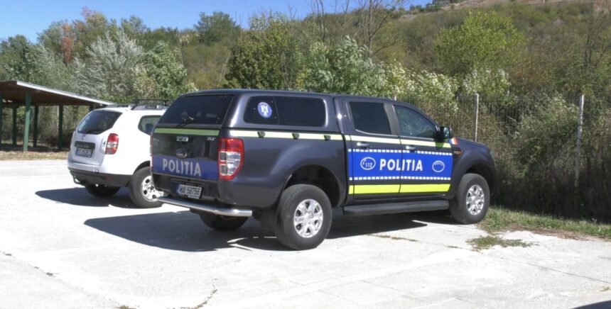 politia ancheteaza incinerarea ilegala a cainilor de la adapostul din slatina 68d12c5735b00