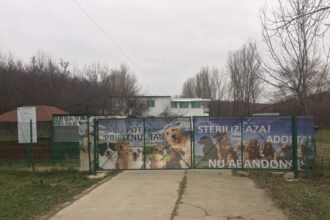 politia animalelor olt ancheta la adapostul saracesti din slatina 68d13a23dd040