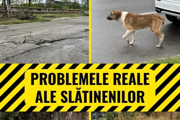 psd slatina problemele de zi cu zi ale slatinenilor sunt numeroase si rezolvarea lor se prelungeste la nesfarsit cu actuala administratie 68cbc7bcc8f58