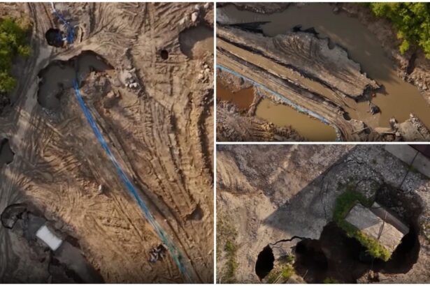 resursele romaniei ajung la straini ce face statul 68dc0e1b8f26e