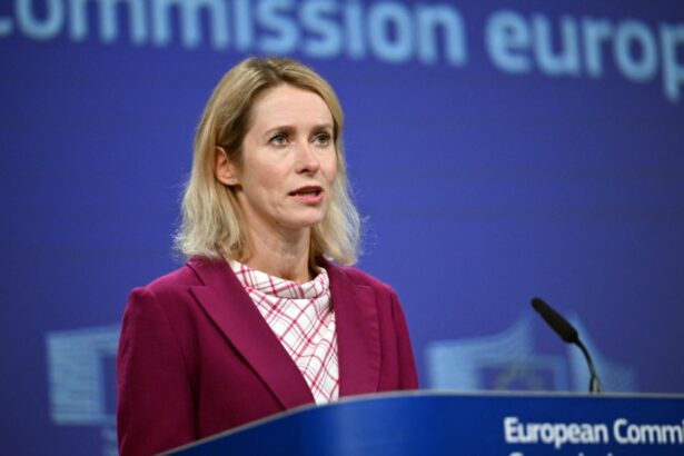 ue reactioneaza la o zi dupa ce dronele rusesti au survolat cerul romaniei ce a transmis sefa diplomatiei europene 68c6da71ad816