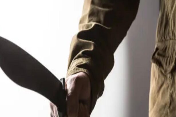 un barbat a atacat cu maceta mai multi copii si politisti agresorul a fost ucis de oamenii legii 68cc6da7d6dbf