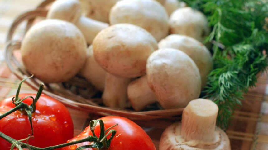 unde se depoziteaza corect ciupercile si cat timp se pot pastra 68c9362cc6fa1