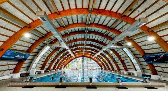 10 ani de cupa slatinei la inot 68f6177659824