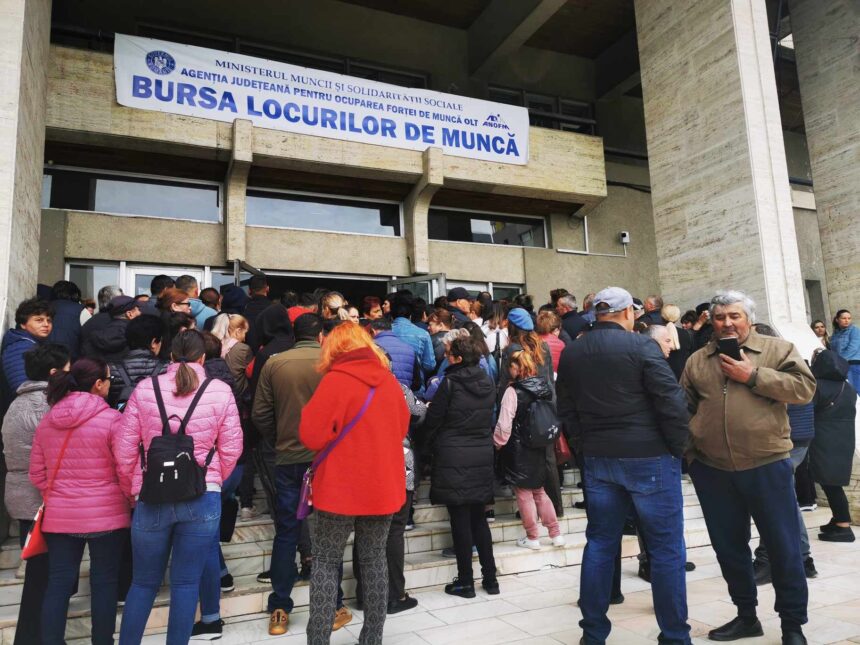 603 este rata somajului la nivelul judetului olt 69007e8c5030a