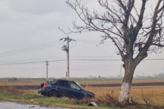 a intrat cu masina intr un copac 68fb6690d04c8