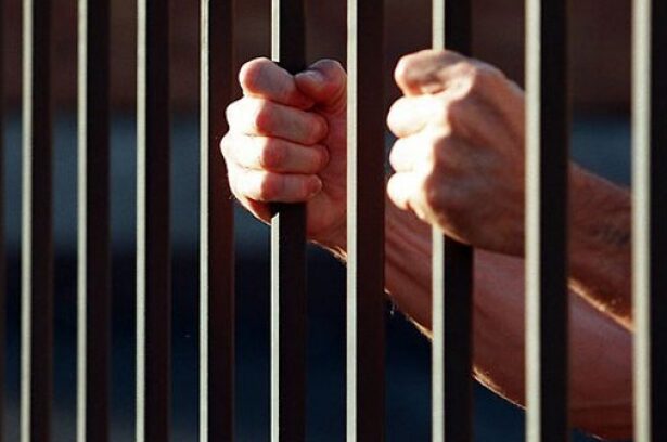 adolescent de 14 ani arestat pentru violarea unei fetite de patru ani incident halucinant in judetul alba 68de3e3c6f72c