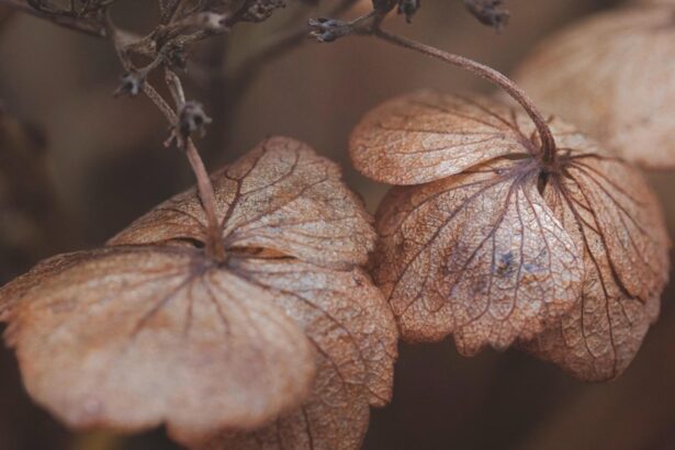 avertisment de la meteorologi un nou val de frig si ploi abundente va afecta romania 68e22e319fc71 1