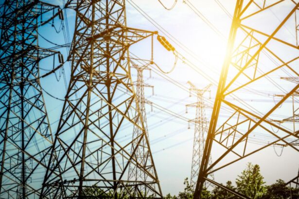 avertisment sumbru de la minister riscam pene masive de curent la iarna sapte hidrocentrale blocate din cauza molustelor 68de221f119aa