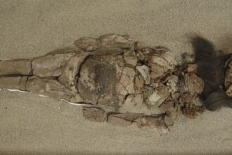 cele mai vechi mumii din lume nu se afla in egipt arheologii au descoperit altele mai vechi cu mii de ani 68e180c8af4d5