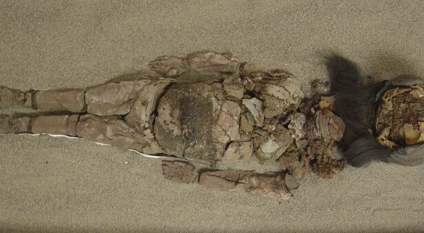 cele mai vechi mumii din lume nu se afla in egipt arheologii au descoperit altele mai vechi cu mii de ani 68e180c8af4d5