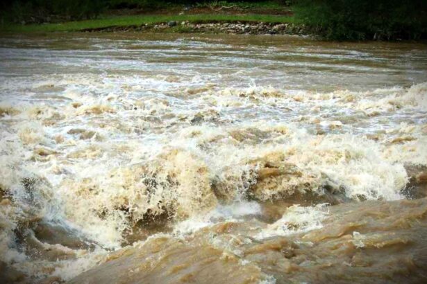cod rosu de inundatii pe raurile olt oltet si calmatui se asteapta precipitatii de peste 100 de litri pe metrul patrat 68de620bd2175