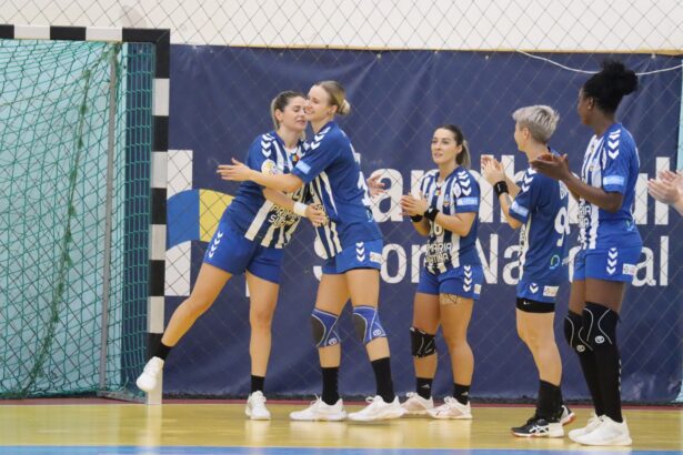 csm slatina meci in deplasare cu hc zalau 68f8937ca1dd6