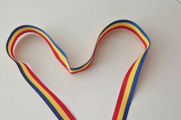 echipa ipj olt locul iii la turneul national de fotbal al snppc 68e36650e1f0d