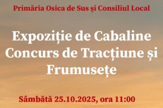 expozitia de cabaline concurs de tractiune si frumusete la osica de sus 68f0a5ec70a46
