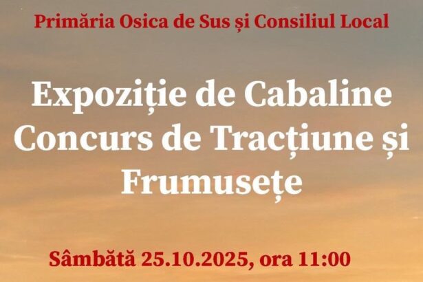 expozitia de cabaline concurs de tractiune si frumusete la osica de sus 68f0a5ec70a46