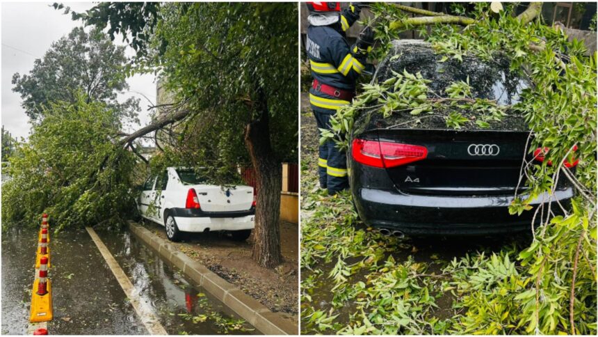 furtuna a facut ravagii in bucuresti peste 200 de copaci au fost doborati de vantul puternic iar 163 masini au fost avariate video 68e0c077bb603