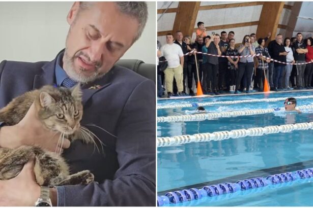 in 2023 consilierii psd au salvat cupa slatinei la inot in 2025 primarul de mezzo e incapabil s o faca si da vina pe ordonanta 52 68edf1f765907