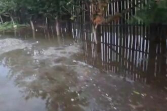 isu olt interventii dupa codul portocaliu 68e7bfa384868