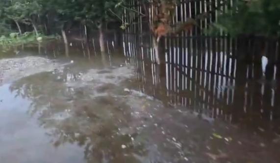 isu olt interventii dupa codul portocaliu 68e7bfa384868