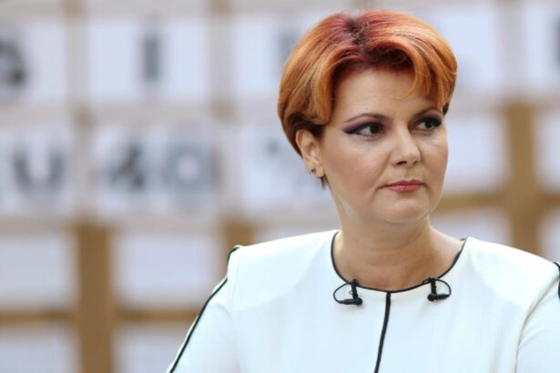 lia olguta vasilescu psd vrea reducerea cu 10 angajatilor din administratia centrala 68e3b8b4a4bfb