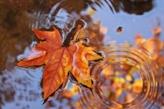 meteo 5 octombrie sfarsit se saptamana cu temperaturi neobisnuit de scazute 68e1f2427daa7