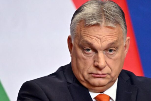 nicusor dan se va intalni cu viktor orban la cluj napoca in acest weekend surse 68e52ee89e50e