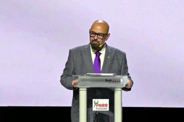 piedone inceputul unei noi generatii in politica romaneasca 68e8e03e584f1