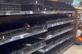 rafturile mai multor magazine din constanta golite de oamenii care si fac provizii inainte de potopul de cod rosu foto 68e5530c46c0c