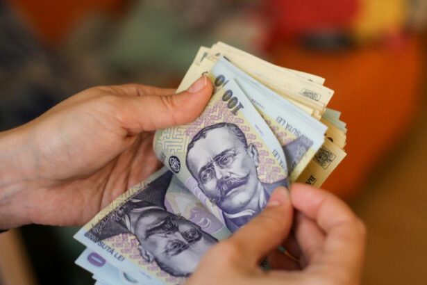 salariul minim va creste in anul urmator 68f0bf7e1fd37