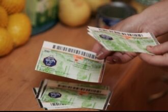 se majoreaza valoarea tichetelor de masa 69047f0d0afdf