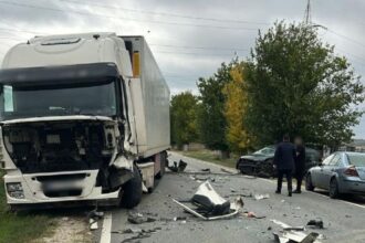 sofer de 78 de ani mort in accident la plesoiu 68f0ef97f2935