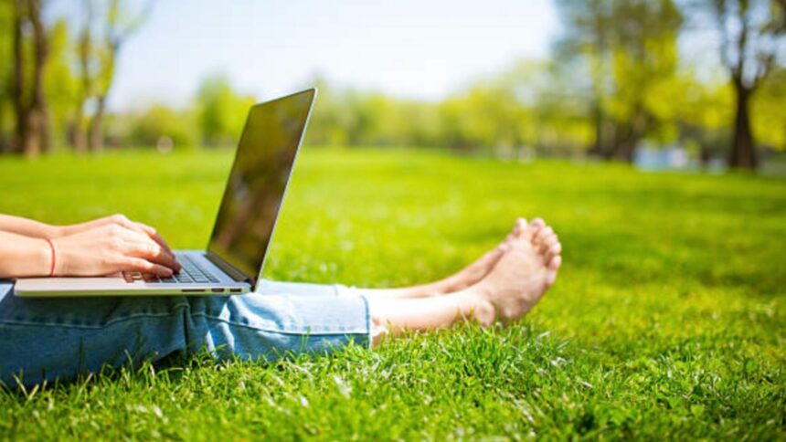 spatiile verzi o calatorie comparativa intre haga washington oslo bucuresti 68de1ec730648