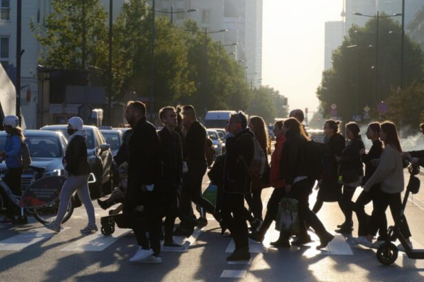 variantele pentru cresterea salariului minim pe economie cine sunt angajatii care pierd din cauza facilitatii fiscale 68ee65e77bf47