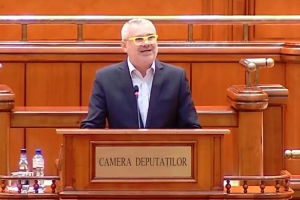 vataful pnl olt gigel stirbu incearca sa si impuna omul la sefia ansvsa 68f08def39652