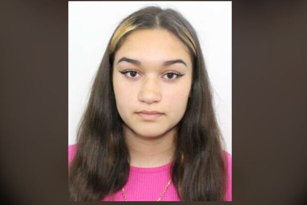 adolescenta din bals cautata de politisti dupa ce a plecat de acasa 6915f9444f5a9