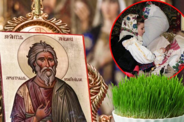 ajunul sfantului andrei 2025 traditii obiceiuri si superstitii motivul pentru care se pune busuioc sub perna si grau la incoltit 692af3e3df462