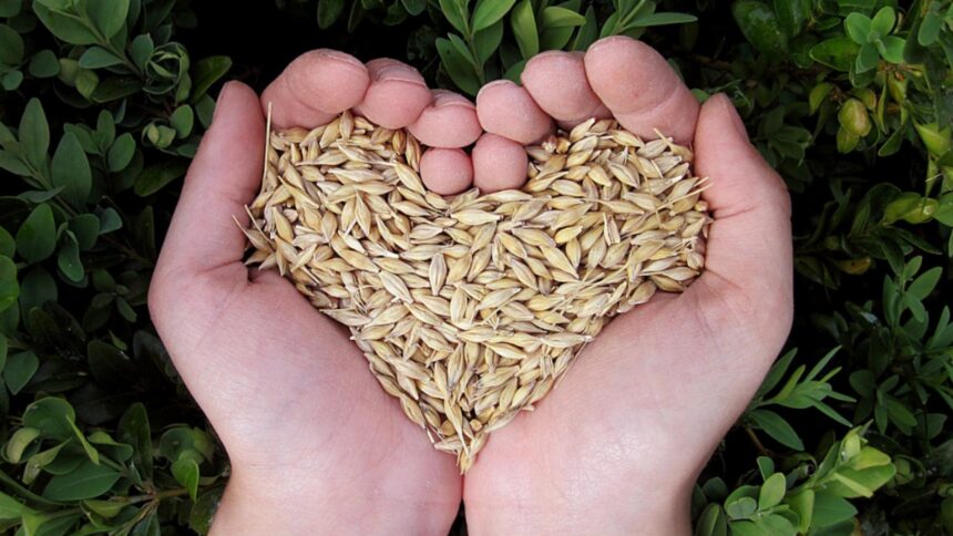 alimente care curata vasele de sange si sustin sanatatea inimii 6923fed57cc27