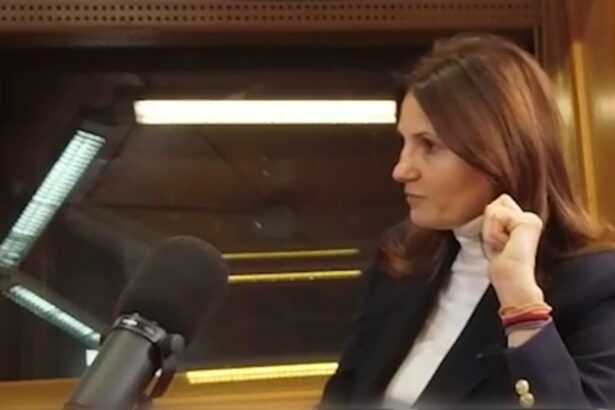 anca alexandrescu planul pentru fluidizarea traficului in capitala pentru rezidenti si studenti transport gratuit 692448ab28e6b