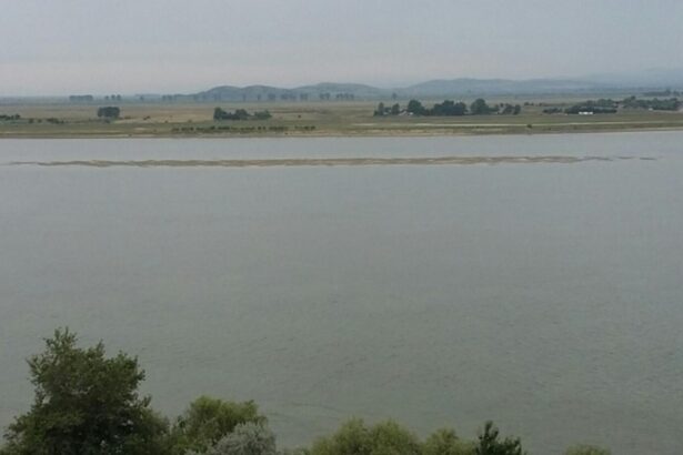 coliziune intre doua barci de agrement in delta dunarii un tanar de 29 de ani a ajuns la spital 69246d078cc78