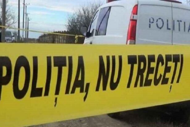 crima la voineasa o femeie de 49 de ani a fost ucisa de concubin 6924176277fcd
