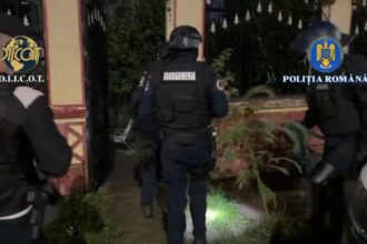 cu cat se vinde gramul de marijuana in judetul olt barbat condamnare pentru trafic de droguri de risc dupa o ancheta sub acoperire 69088b01a897d