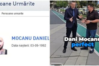 dani mocanu vedeta la ziua recoltei din slatina acum dat in urmarire generala condamnat definitiv la patru ani de inchisoare 690d7c97f15f9