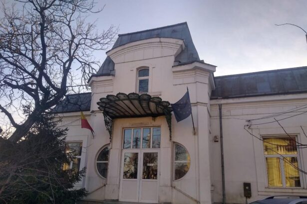 directia judeteana de mediu olt gazda unei expozitii de jucarii decorative 6909dc814a73a