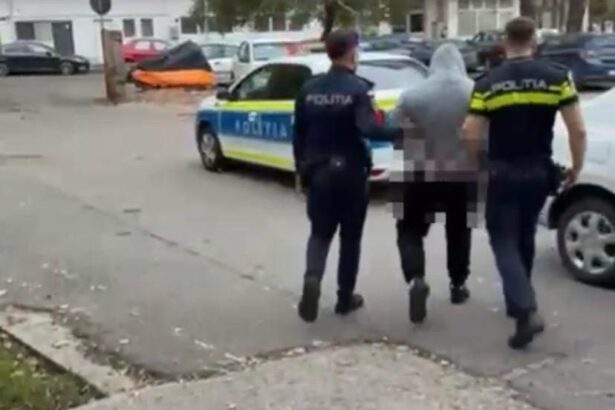 doi copii din slatina batuti de un barbat in craiova agresorul retinut de politisti video 6909b5eec78a7