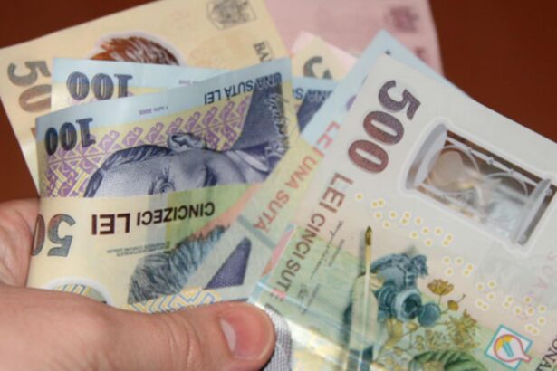 fosta sefa a casei de pensii apel despre majorarile din ianuarie statul sa gaseasca resurse 692b20a027f77