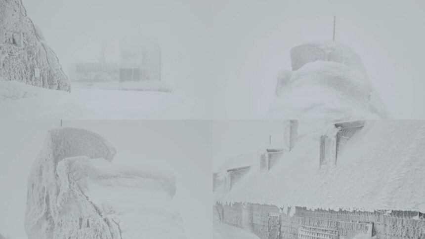 iarna si a intrat in drepturi zapada de un metru la munte anuntul meteorologilor video 6929f949d3c34