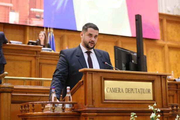 legea viata la tara sansa satului romanesc deputatul psd olt bogdan mihuti printre parlamentarii care vor simplificarea turismul rural si protejarea traditiilor 69281701d49b8