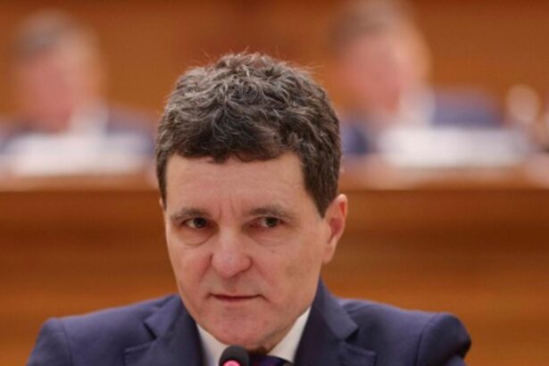 nicusor dan mesaj pentru romanii din tara seful statului a uitat de diaspora in discursul privind strategia de aparare a tarii video 692703010e6bf