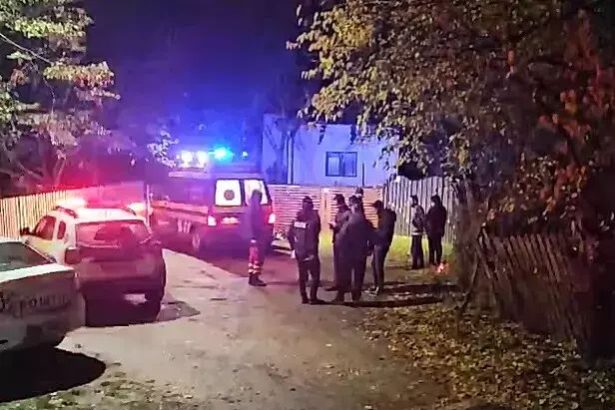 o femeie a fost injunghiata de 15 ori in prezenta copilului de catre sot anchete la ipj si parchet dupa comiterea omorului 6911cc9e77a8b